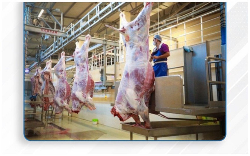 Qurbanlıq heyvanların satışı və kəsimi xidmətləri göstəriləcək ünvanların siyahısı açıqlanıb