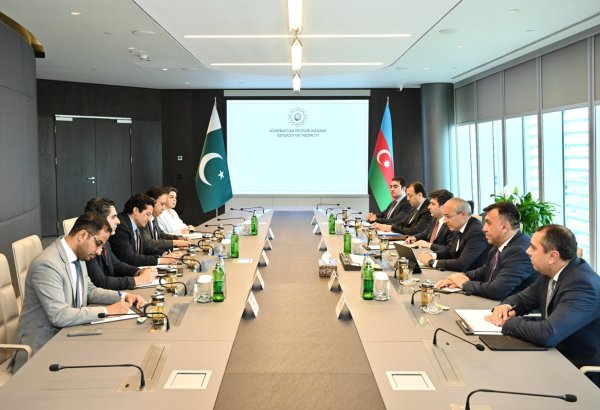 Azərbaycan Pakistan ilə yaşıl enerji sahəsində işbirliyi imkanlarını müzakirə edib (FOTO)