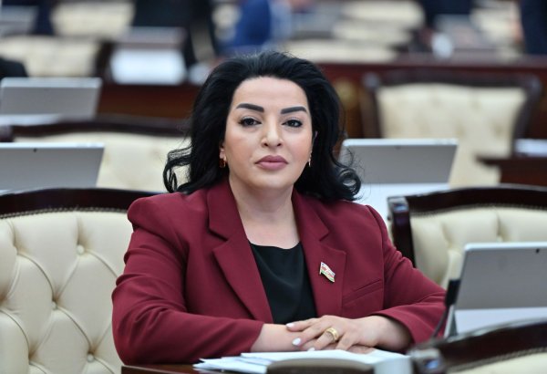 Qanunvericiliyə ağacların qorunması üçün “Yaşıl irs” anlayışının daxil edilməsi təklif olunur
