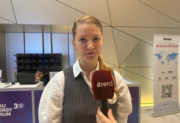 “ACWA Power” Azərbaycanda “yaşıl” enerji dəhlizlərinin  inkişafını izləyir - Polina Lübomirova
