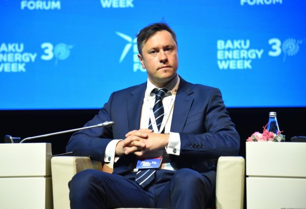 "Boston Consulting Group" Azərbaycanın iqlim gündəminin təşviqindəki liderliyini vurğulayıb