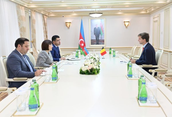 Azərbaycan və Belçika arasında iqtisadi, nəqliyyat, dənizçilik sahəsində əməkdaşlığın inkişafı üçün yaxşı imkanlar var – Səfir