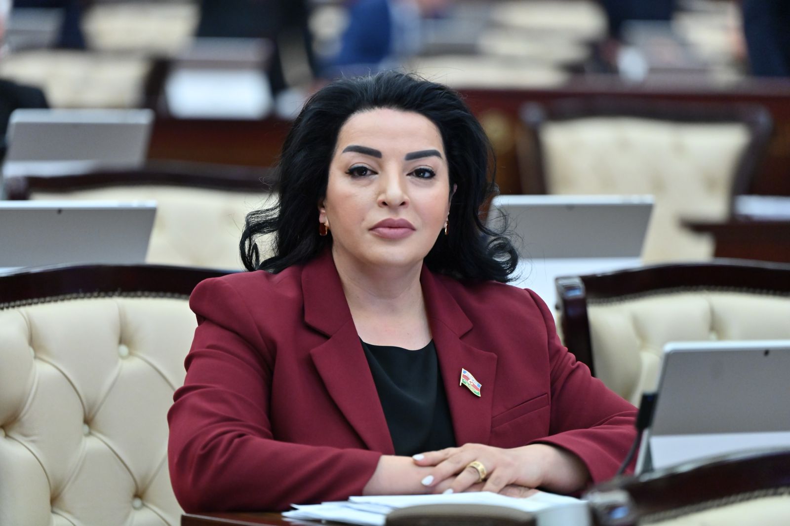 Yeni qanunun qəbulu istehlakçıların istilik enerjisi təchizatının keyfiyyətini yüksəldəcək – Deputat