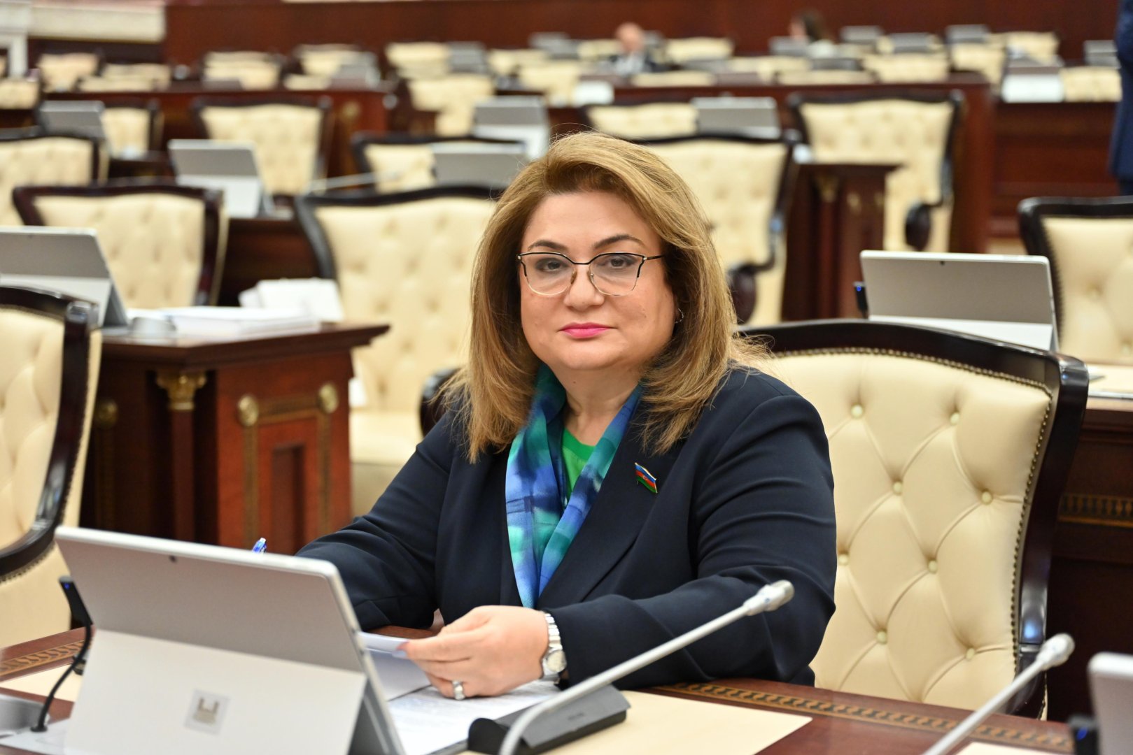 Mərkəzləşdirilmiş istilik təchizatı sistemlərinin məcburi hala gətirilməsi ilə enerji resurslarına qənaət ediləcək – Komitə sədri