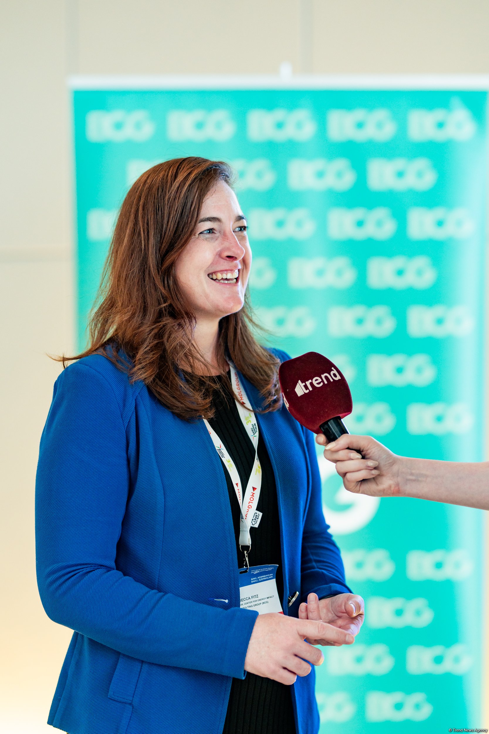 Azərbaycan regional enerji keçidində strateji rol oynaya bilər - BCG