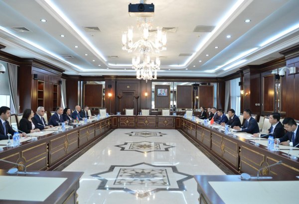 Azərbaycan və Çinin Orta Dəhlizin reallaşması çərçivəsində birgə səyləri müzakirə edib (FOTO)