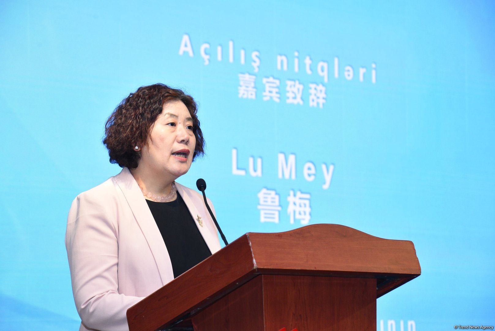 Azərbaycan və Çinin qarşılıqlı investisiyalarının həcmi açıqlanıb