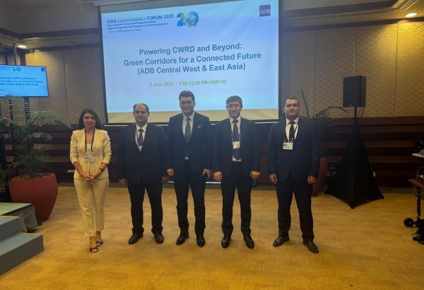 AİB və AIIB ilə Azərbaycanda "yaşıl enerji" layihələrinin maliyyələşdirilməsi perspektivləri dəyərləndirilib