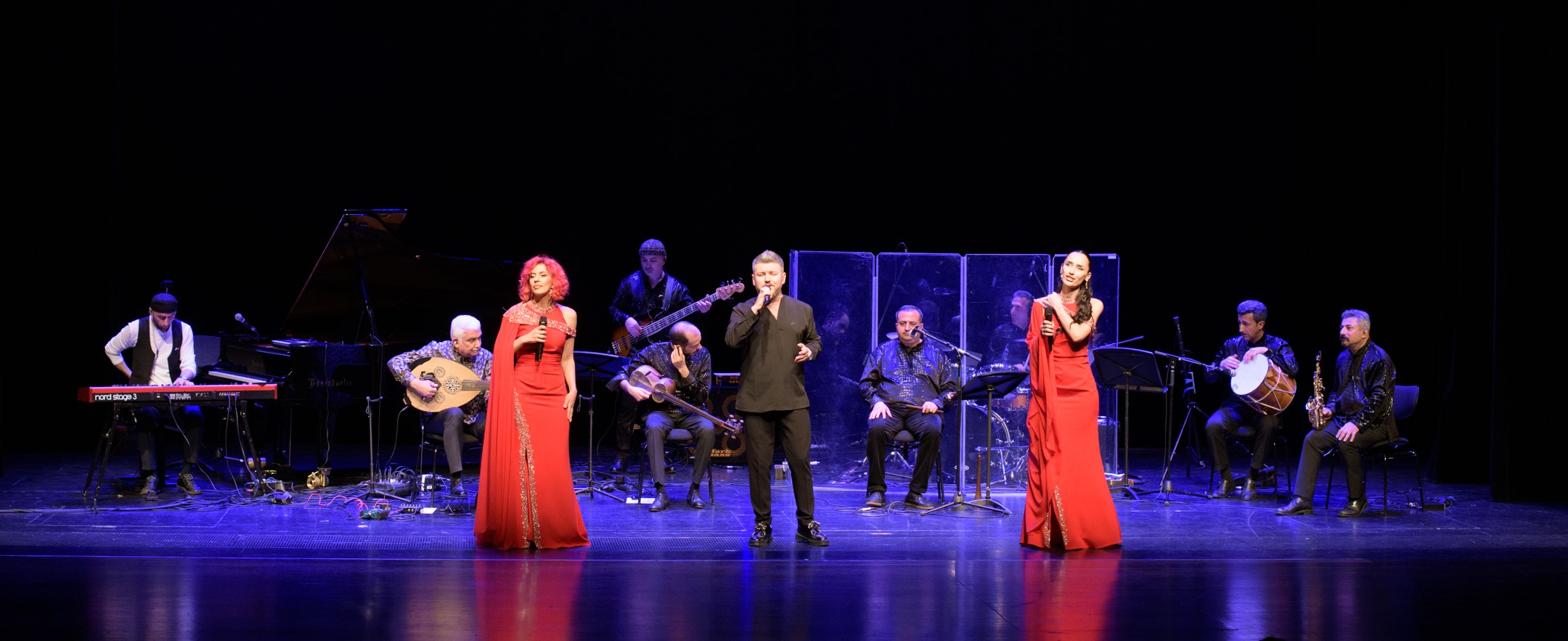 Vyanada “Alov ritmləri” adlı konsert keçirilib (FOTO)