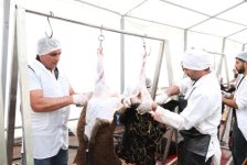 Bayramla bağlı 135 ünvanda qurbanlıq heyvanların satışı və kəsimi xidmətləri göstərilir (FOTO)