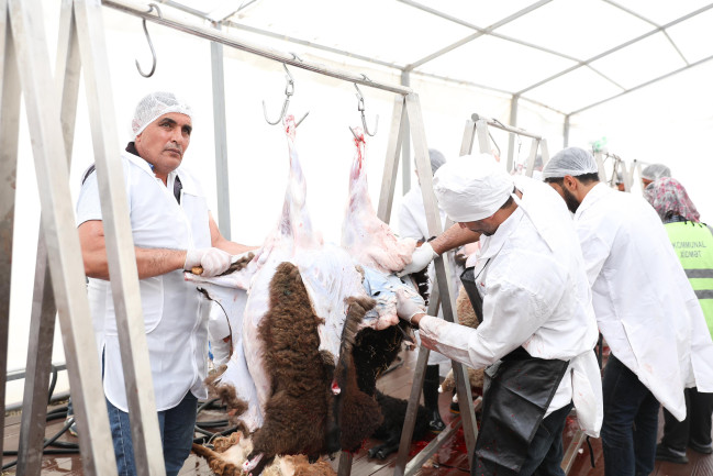 Bayramla bağlı 135 ünvanda qurbanlıq heyvanların satışı və kəsimi xidmətləri göstərilir (FOTO)