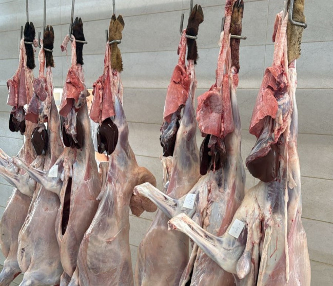 Bayramla bağlı 135 ünvanda qurbanlıq heyvanların satışı və kəsimi xidmətləri göstərilir (FOTO)