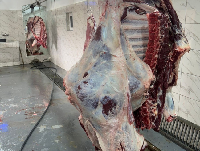 Bayramla bağlı 135 ünvanda qurbanlıq heyvanların satışı və kəsimi xidmətləri göstərilir (FOTO)
