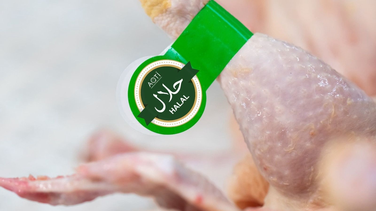 Bu şəkildə “HALAL” sertifikatlaşma üzrə qiymətləndirmə rüsumlarını öyrənmək mümkün olacaq