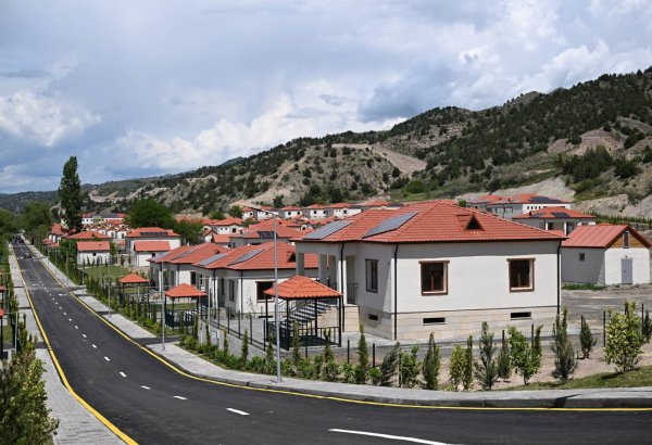 Laçında rəqabət artdıqca qiymətlər normallaşır - Elnur Abdullayev