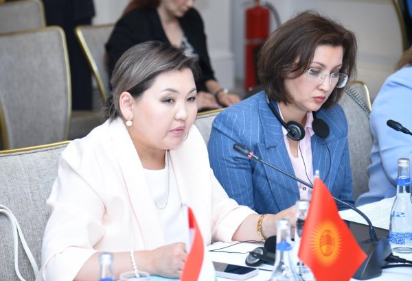 Qırğızıstan sosial dəstək sahəsində birgə səylərə xüsusi önəm verir - Nazir müavini