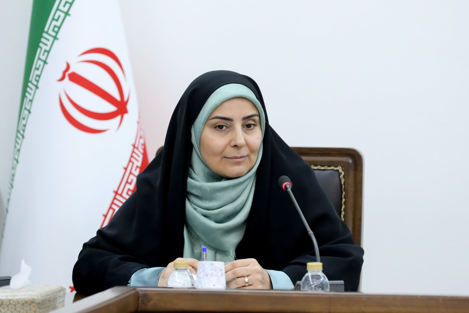 İran, Azərbaycan və Ermənistan arasında dəmiryolu tranzitdə effektiv rola malik ola bilər – Fərzanə Sadiq