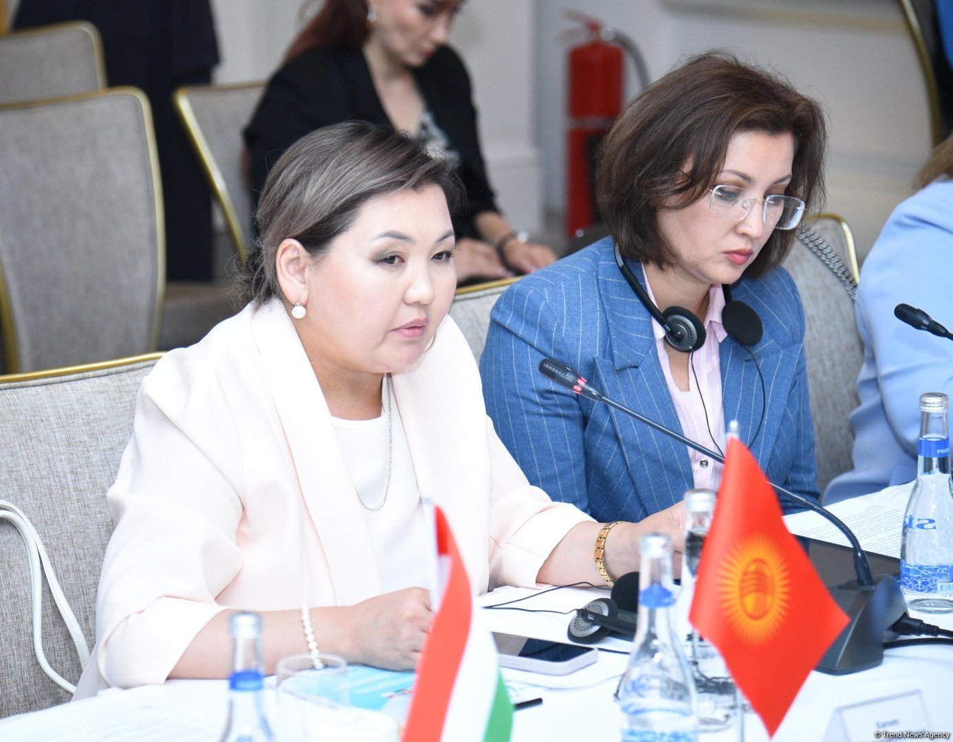 Qırğızıstan inklüziv qanunvericiliyin formalaşdırılması üzərində fəal iş aparır - Nazir müavini