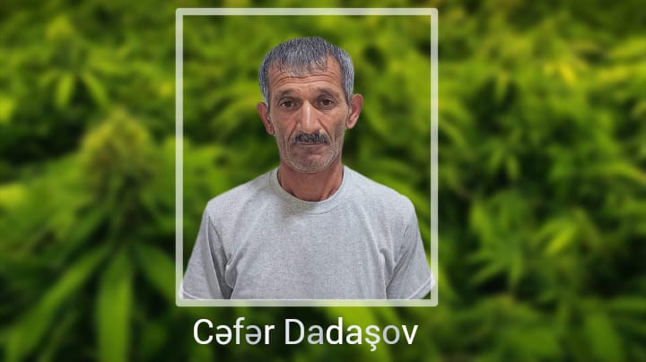 Yaşadığı evin həyətində narkotik tərkibli bitkilər yetişdirən şəxs saxlanılıb