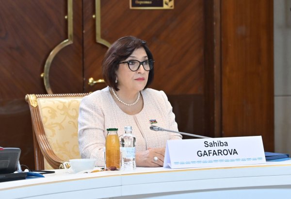 Milli Məclisin TÜRKPA-ya sədrliyi dövründə təşkilatın gücləndirilməsi istiqamətində bütün addımlar atılıb - Sahibə Qafarova