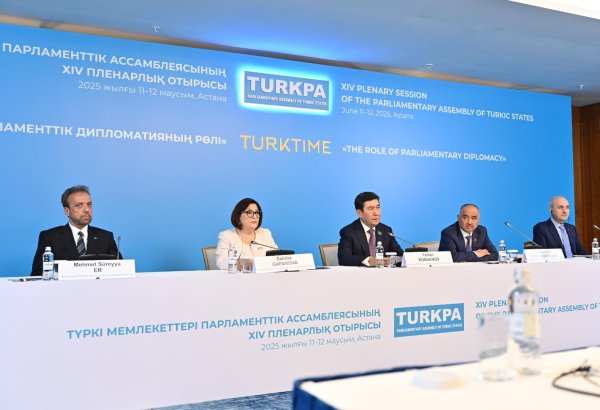 TÜRKPA ortaq maraqlarımızı reallaşdırmağa imkan verən mühüm platformadır - Milli Məclisin sədri