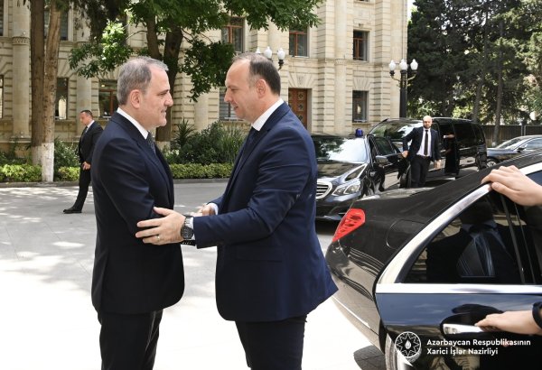 Azərbaycan və Şimali Makedoniya arasında bərpaolunan enerji istiqamətləri üzrə tərəfdaşlıq müzakirə edilib (FOTO)