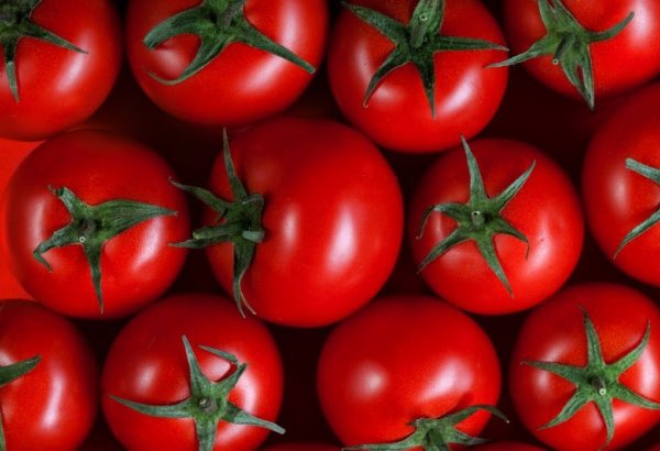 Azərbaycandan xarici bazarlara pomidor ixracı 23% artıb