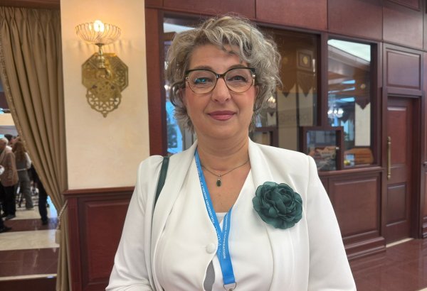 Şimali Makedoniya "yaşıl" enerji sahəsində Azərbaycanla əməkdaşlıq üçün böyük potensialın olduğunu görür - Deputat
