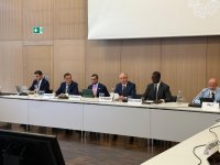 Azərbaycan “iqlim və sülh” diplomatiyası geniş beynəlxalq dəstək qazanır (FOTO)