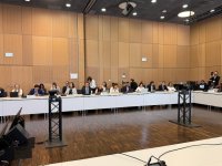 Azərbaycan “iqlim və sülh” diplomatiyası geniş beynəlxalq dəstək qazanır (FOTO)