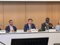 Azərbaycan “iqlim və sülh” diplomatiyası geniş beynəlxalq dəstək qazanır (FOTO)