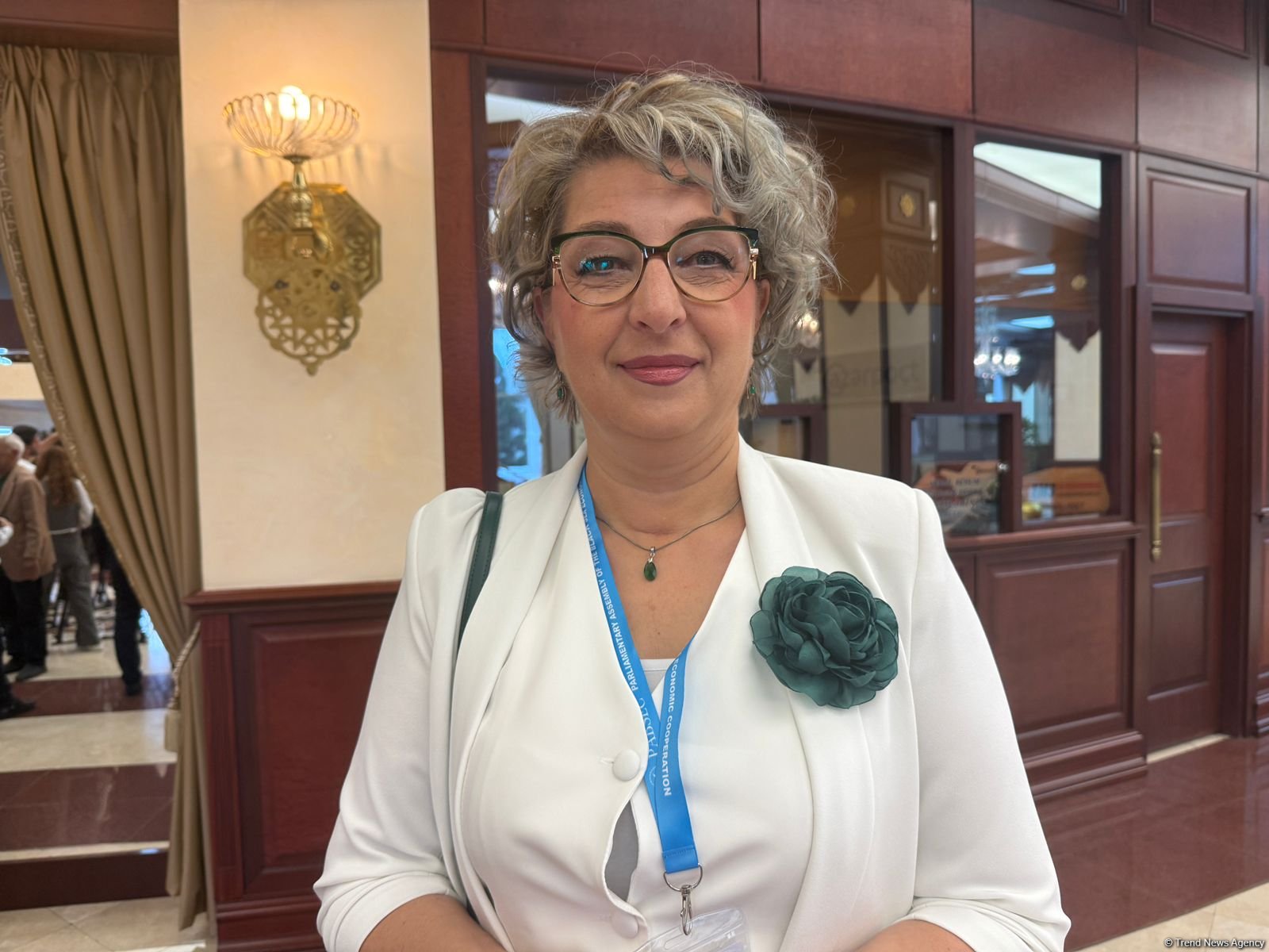 Şimali Makedoniya "yaşıl" enerji sahəsində Azərbaycanla əməkdaşlıq üçün böyük potensialın olduğunu görür - Deputat
