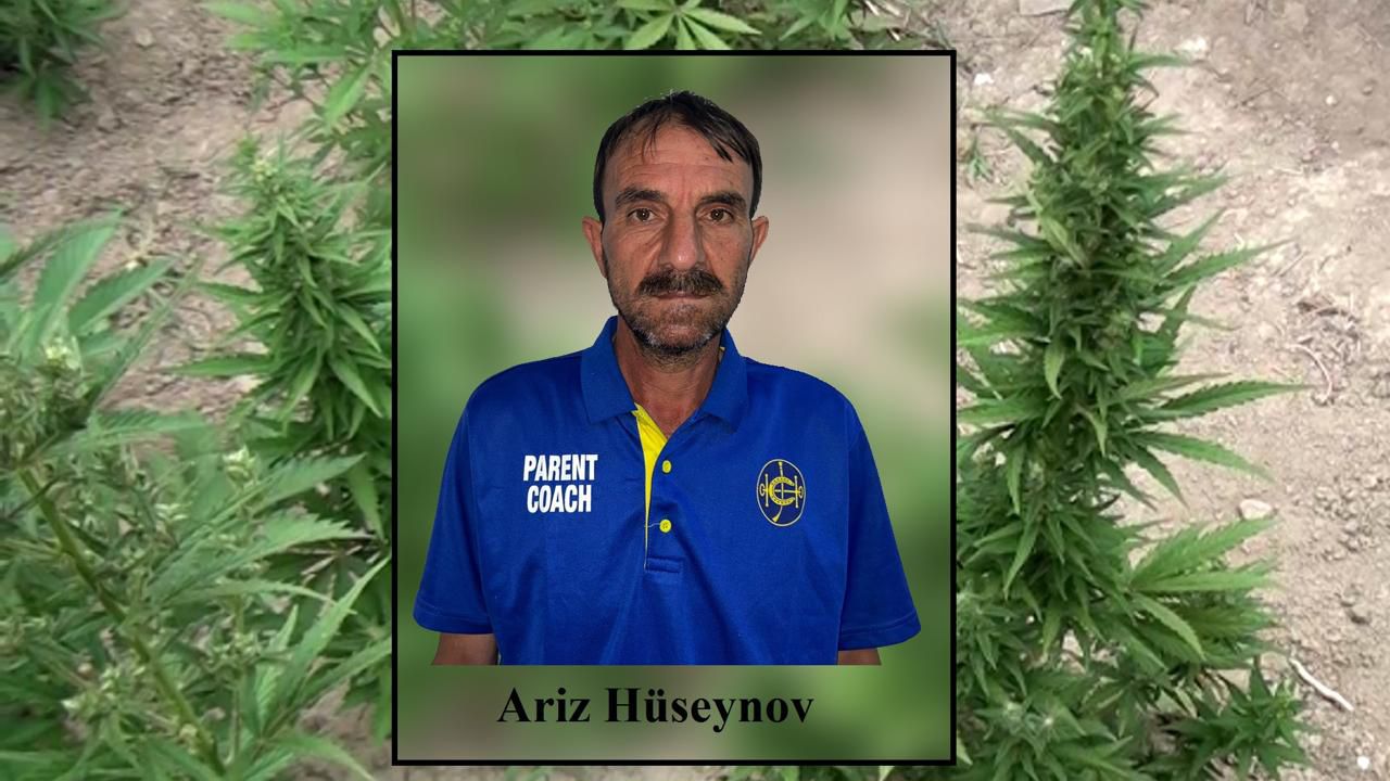 Neftçalada narkotik tərkibli bitkilərin kultivasiyasını təşkil edən şəxs saxlanılıb