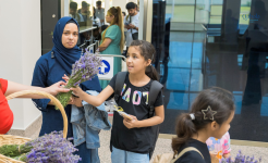 Qəbələ ilə Əbu-Dabi arasında birbaşa reyslər başlayıb - Wizz Air Abu Dhabi ilk reysi 20%-dək endirimlə qeyd edir (FOTO)