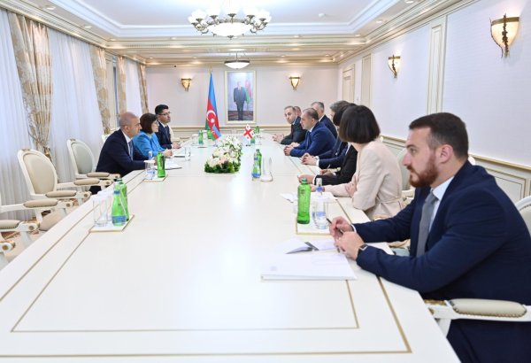 Azərbaycan-Gürcüstan əlaqələrinin strateji tərəfdaşlıq səviyyəsinə yüksəlməsi müzakirə edilib (FOTO)