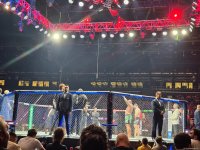 UFC