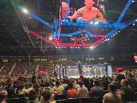 UFC Fight Night: Cənubi Koreyadan olan daha bir idmançı qalib olub (FOTO)