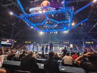 UFC