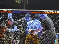 UFC