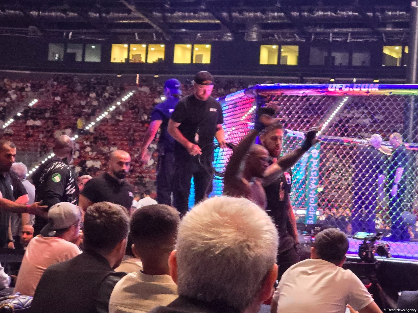 UFC