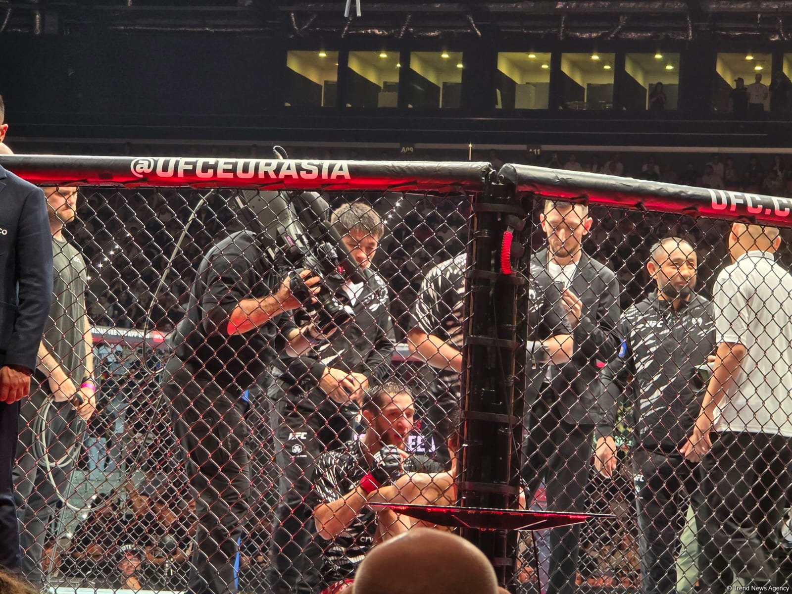 UFC