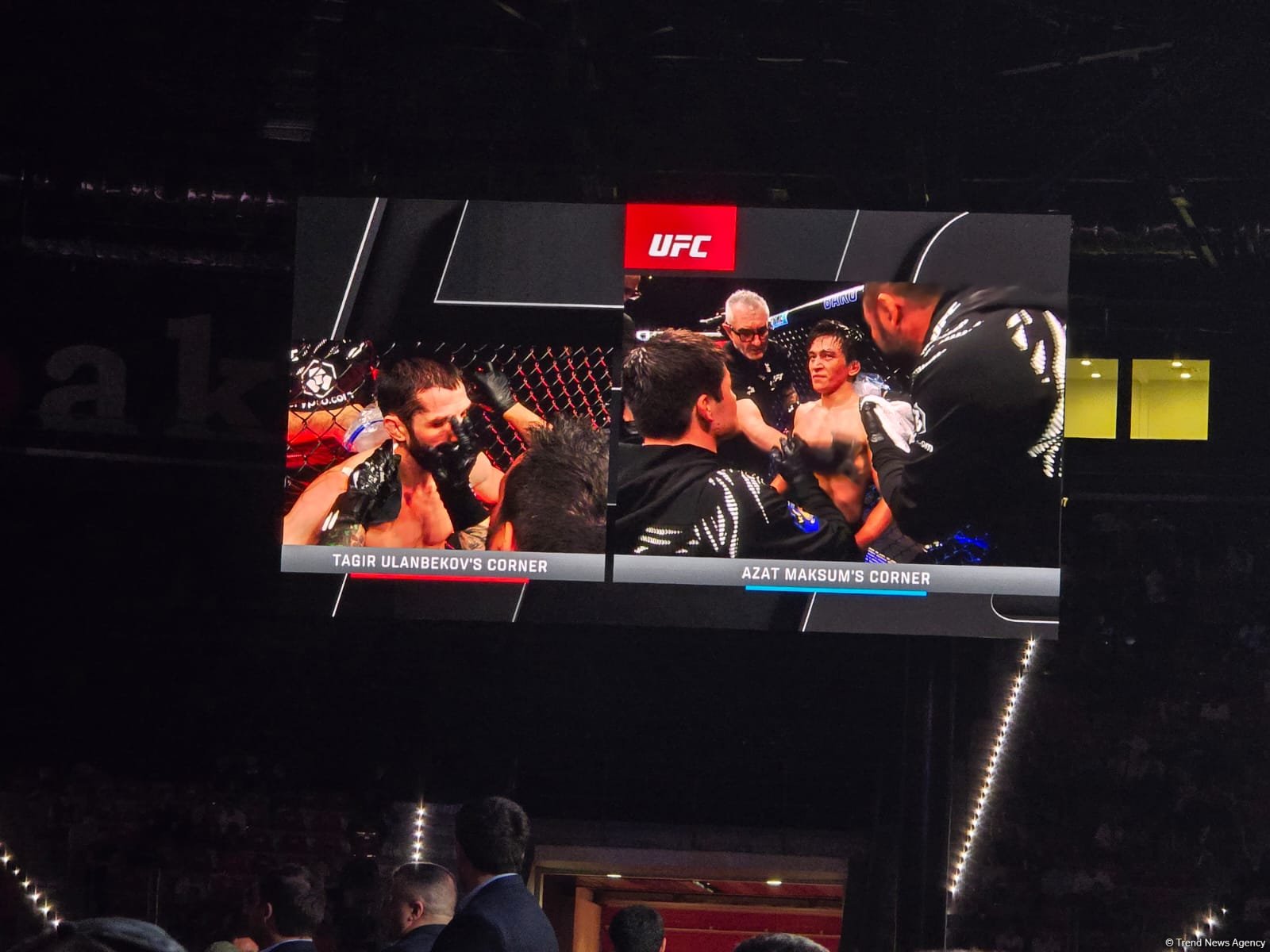 UFC