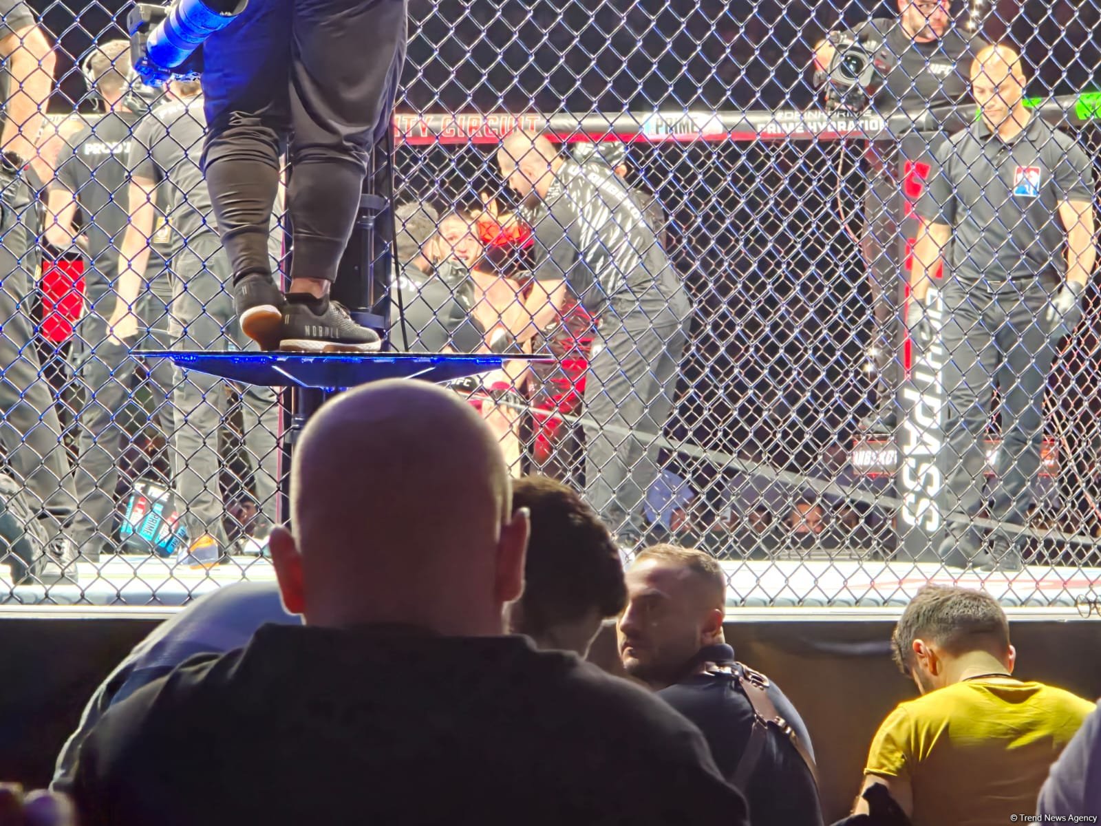 UFC