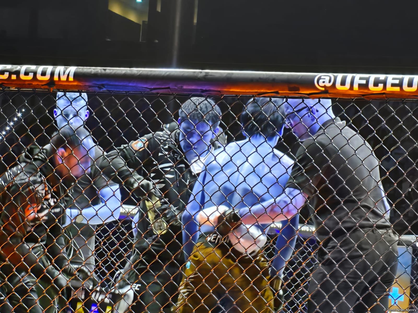 UFC