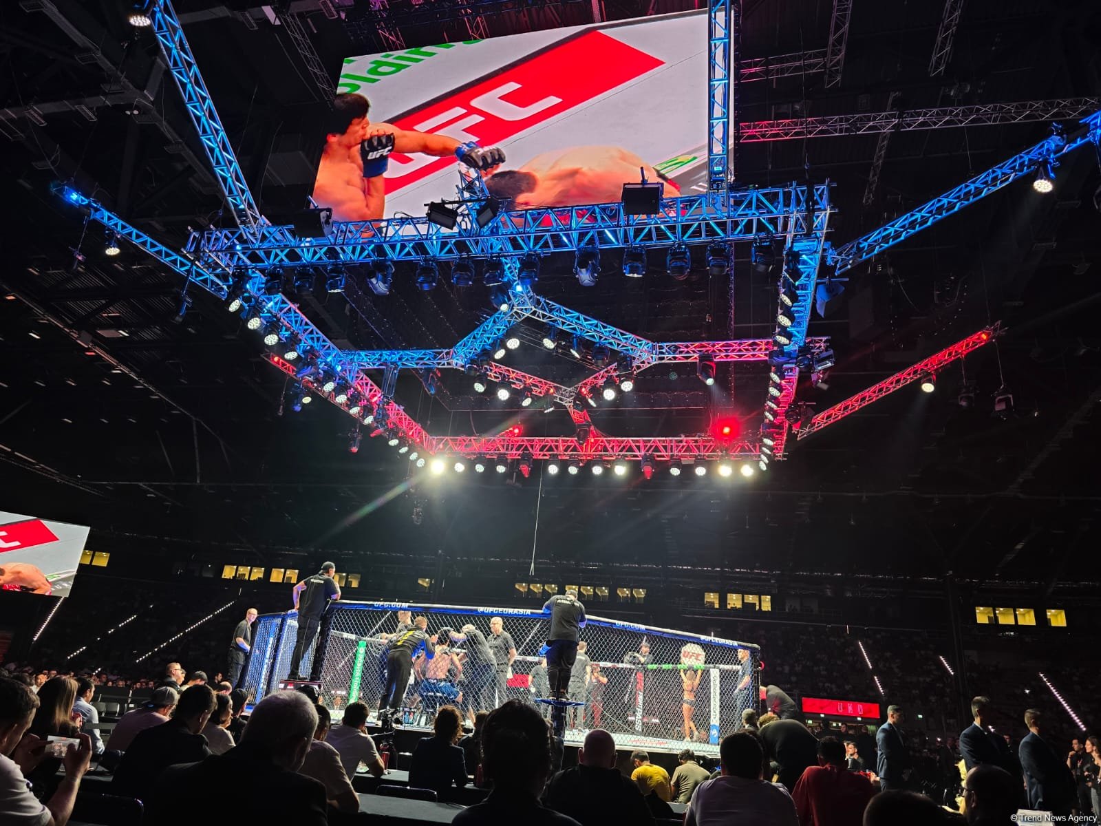 UFC