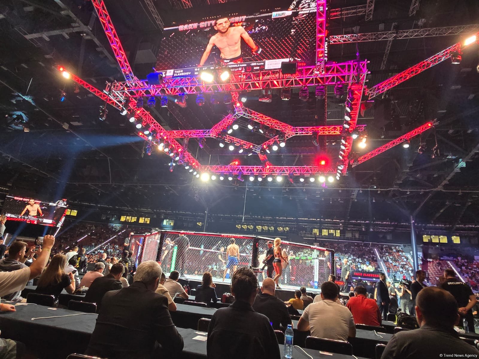 UFC