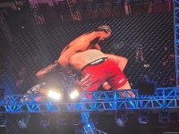 UFC Fight Night: Rafael Fiziyev qalib olub (FOTO)