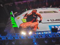 UFC Fight Night: Rafael Fiziyev qalib olub (FOTO)