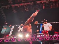 UFC