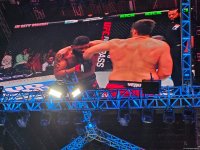 UFC
